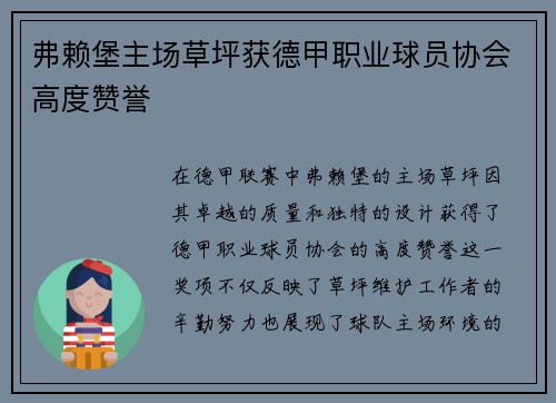 弗赖堡主场草坪获德甲职业球员协会高度赞誉 弗赖堡主场草坪获德甲职业球员协会高度赞誉